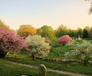 Old First Sells Plots Back To Green-Wood Cemetery